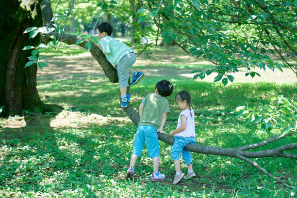 保育園　幼稚園　イベントアイディア